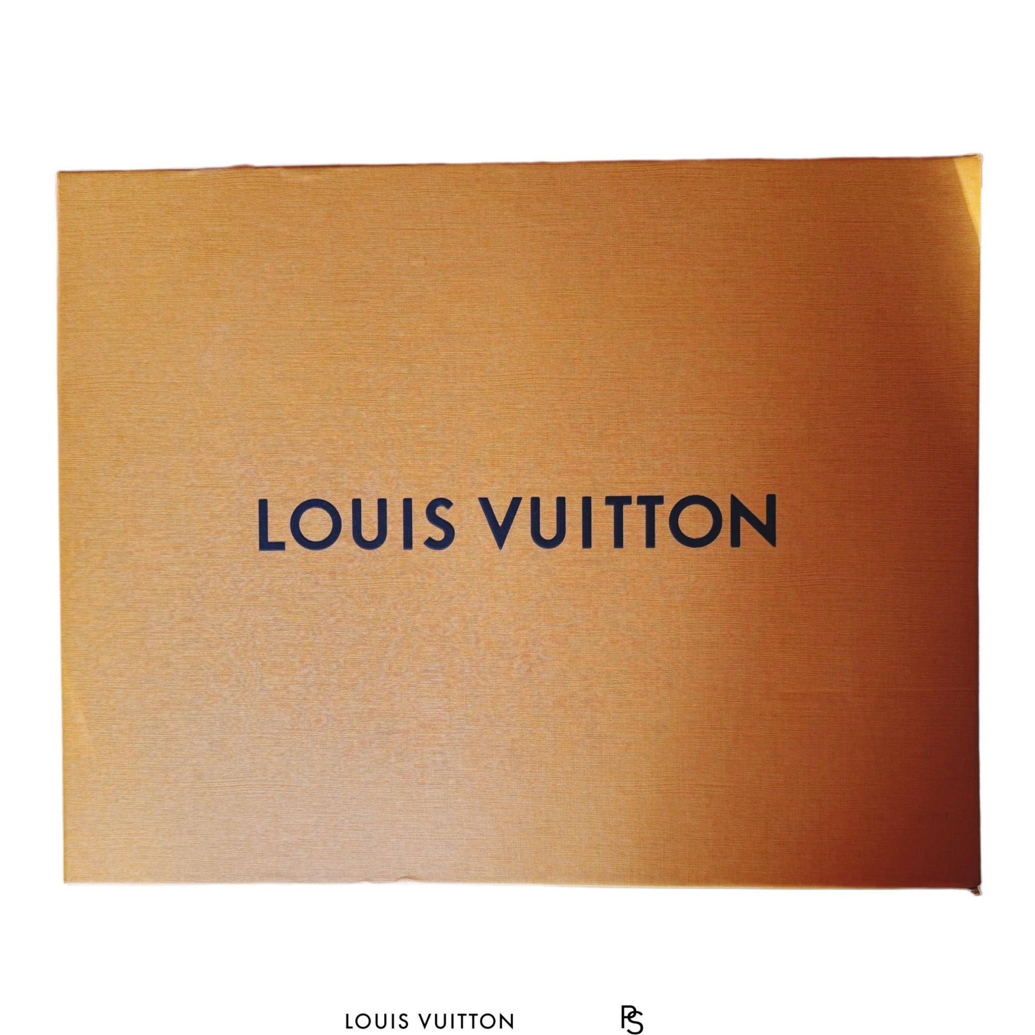 Louis Vuitton Denim Monogram Arizona Moccasin 2019 (USED)