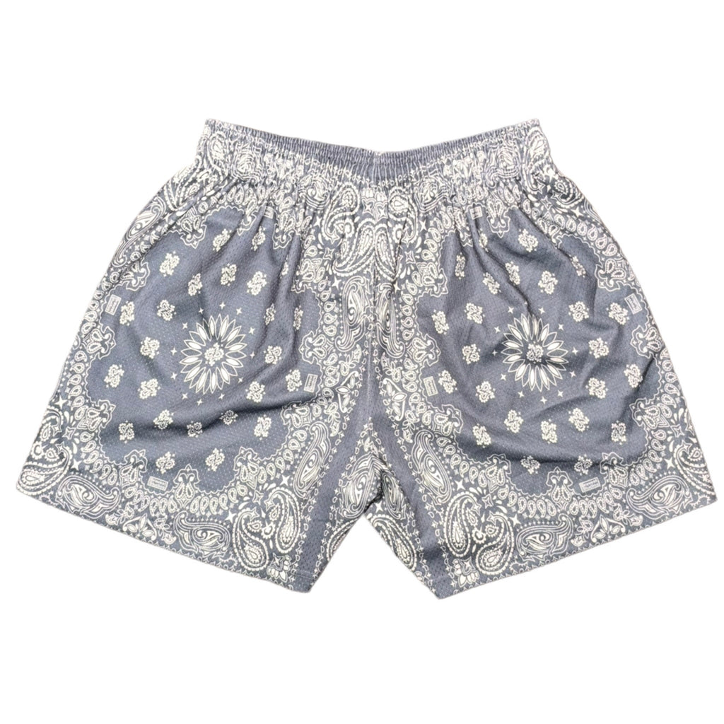 Bravest Studios Bandana Mesh Shorts Gray 2022 (USED)
