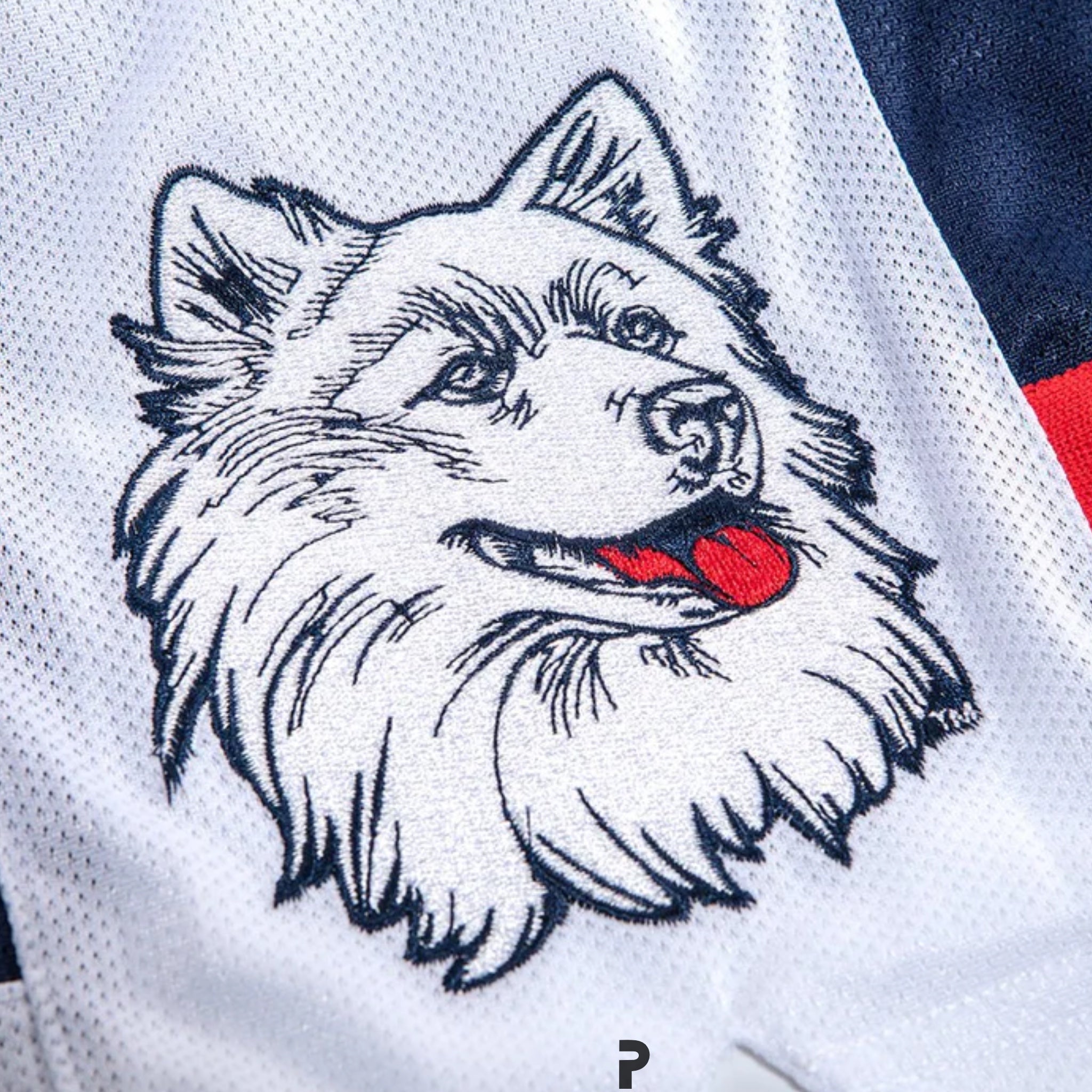 19Nine UConn Huskies 1998-99 Legacy Short 2022 (USED)
