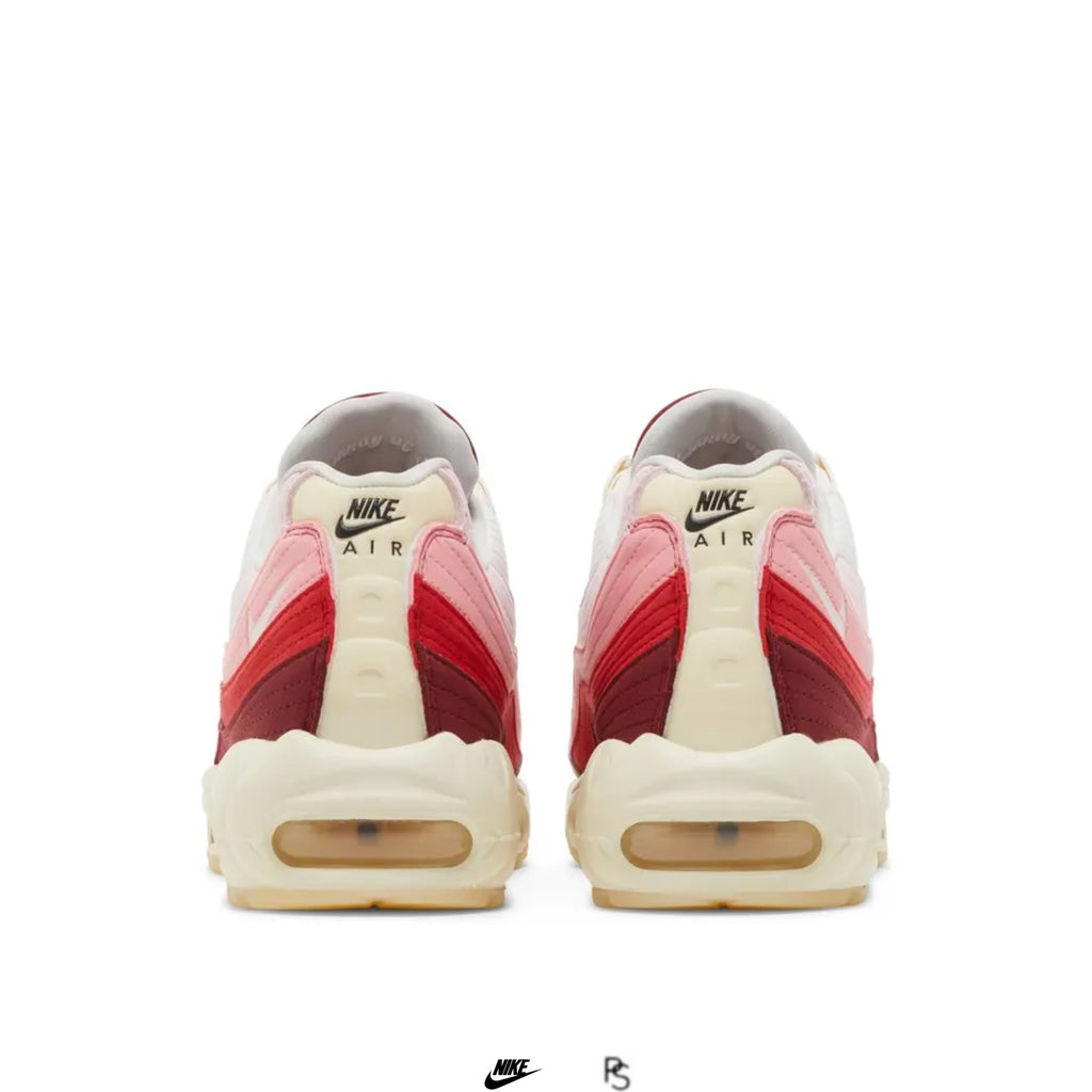 Nike Air Max 95 Anatomy Of Air 2022 (USED)