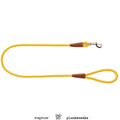Kith for wagwear Rope Dog Leash