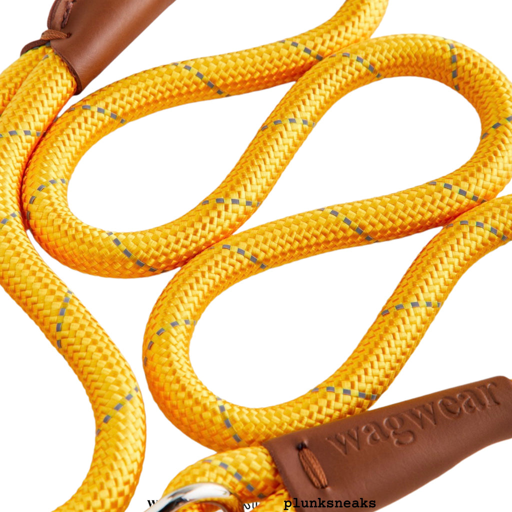 Kith for wagwear Rope Dog Leash