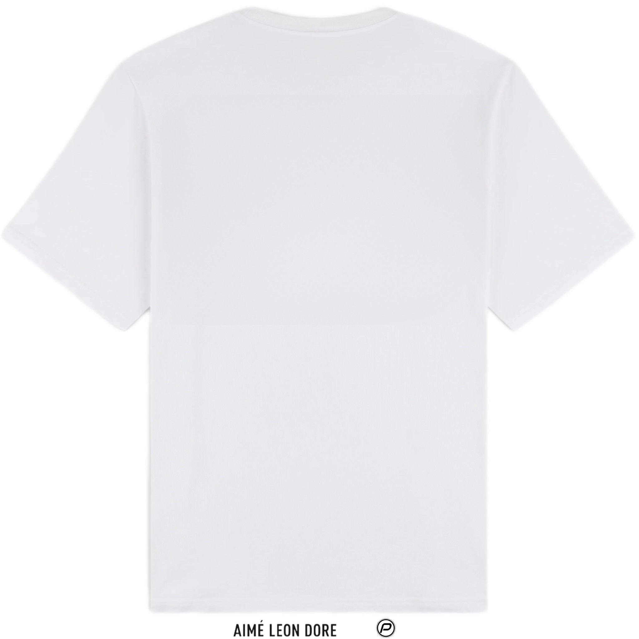 Aime Leon Dore Scenic Tee 2024 (USED)