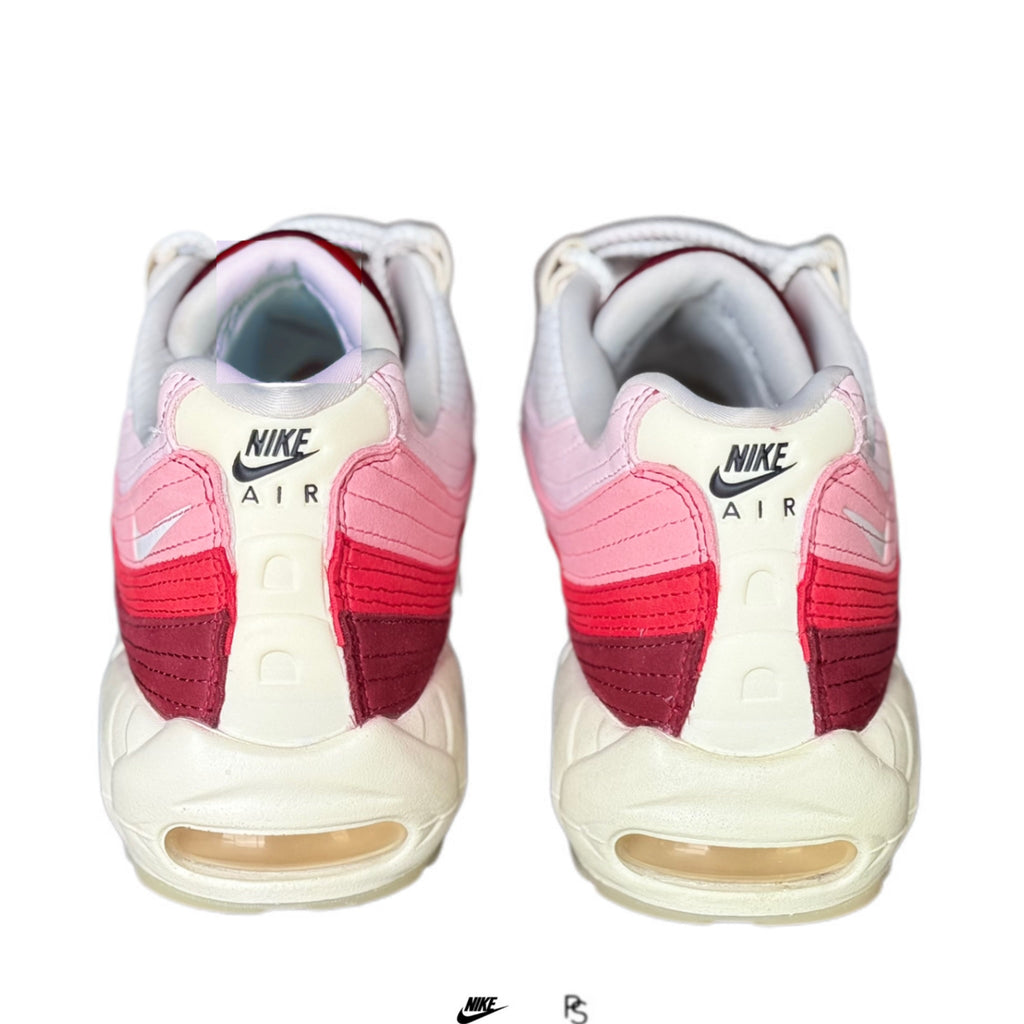Nike Air Max 95 Anatomy Of Air 2022 (USED)