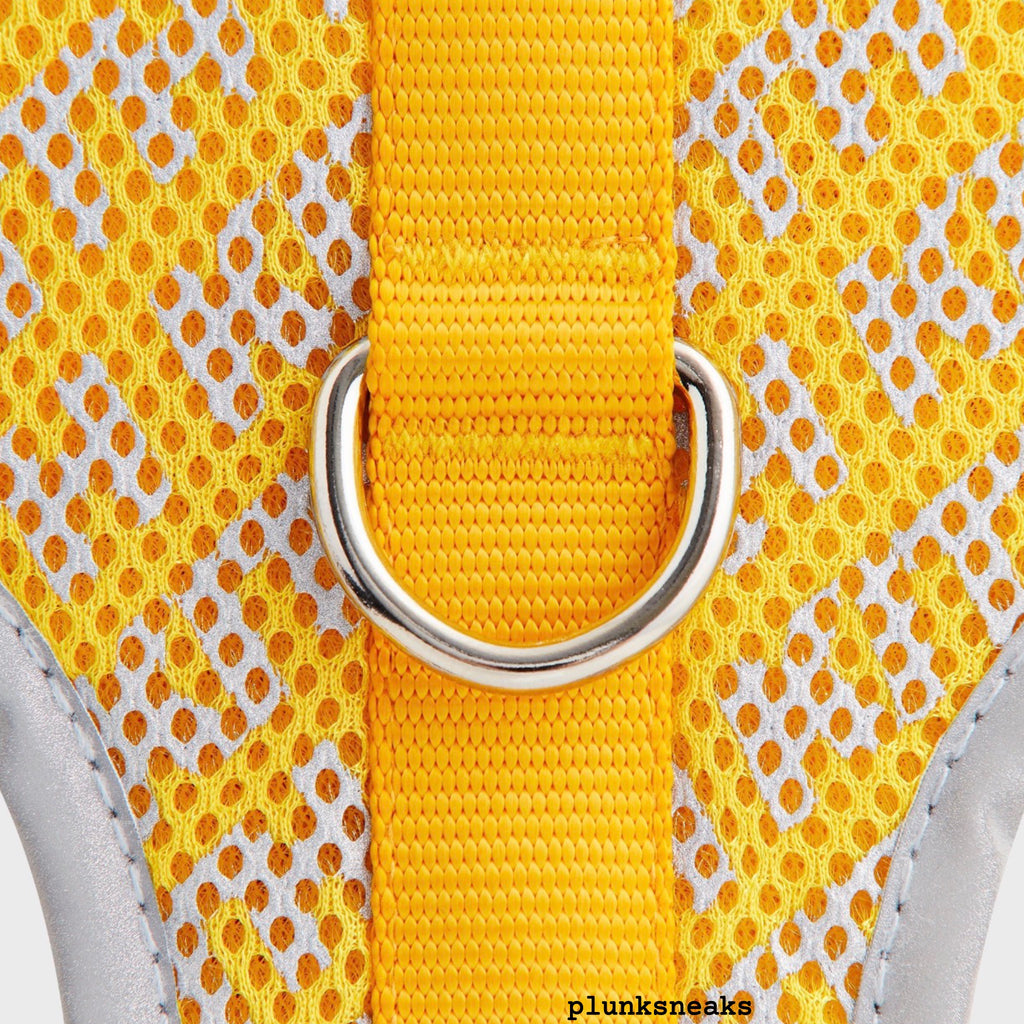 Kith for wagwear Padded Dog Harness