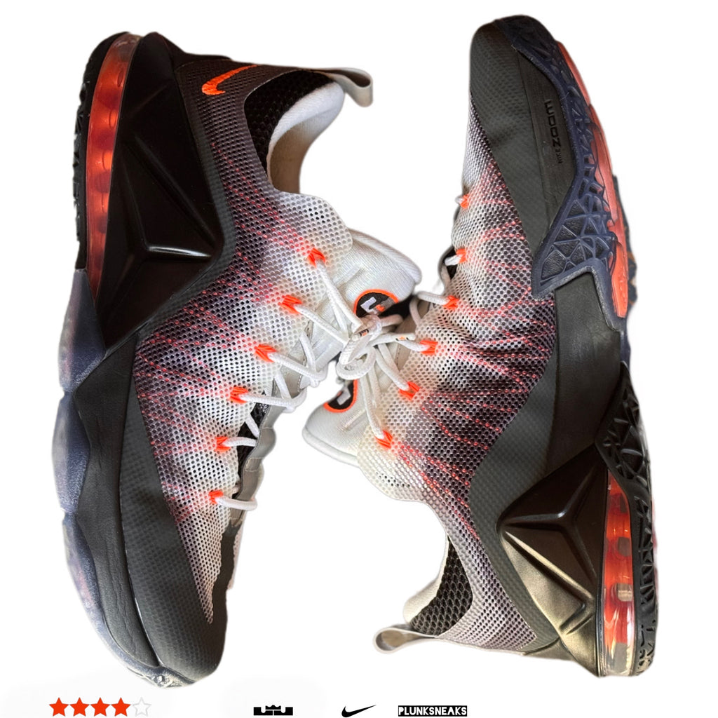 Nike LeBron 12 Low Air Max 95 2015 (USED)