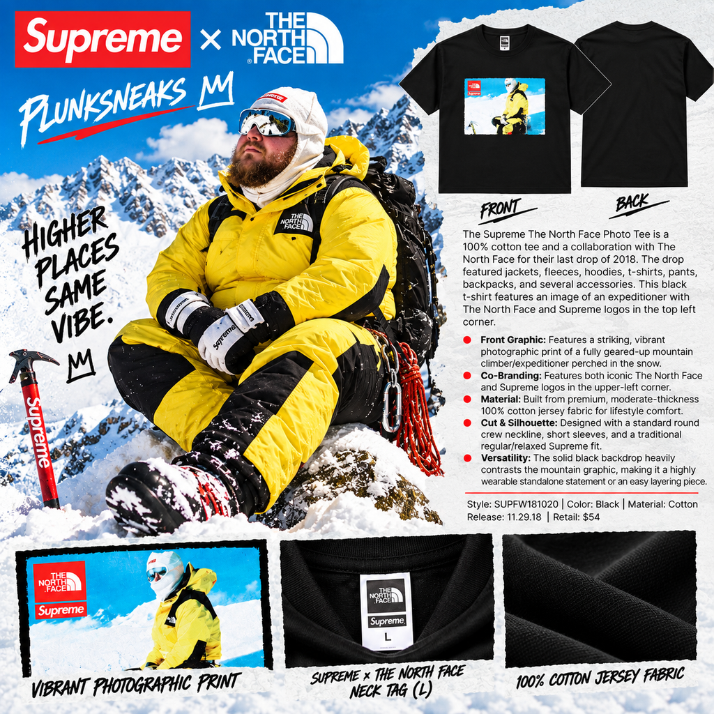 Supreme The North Face Photo Tee 2018 (USED)