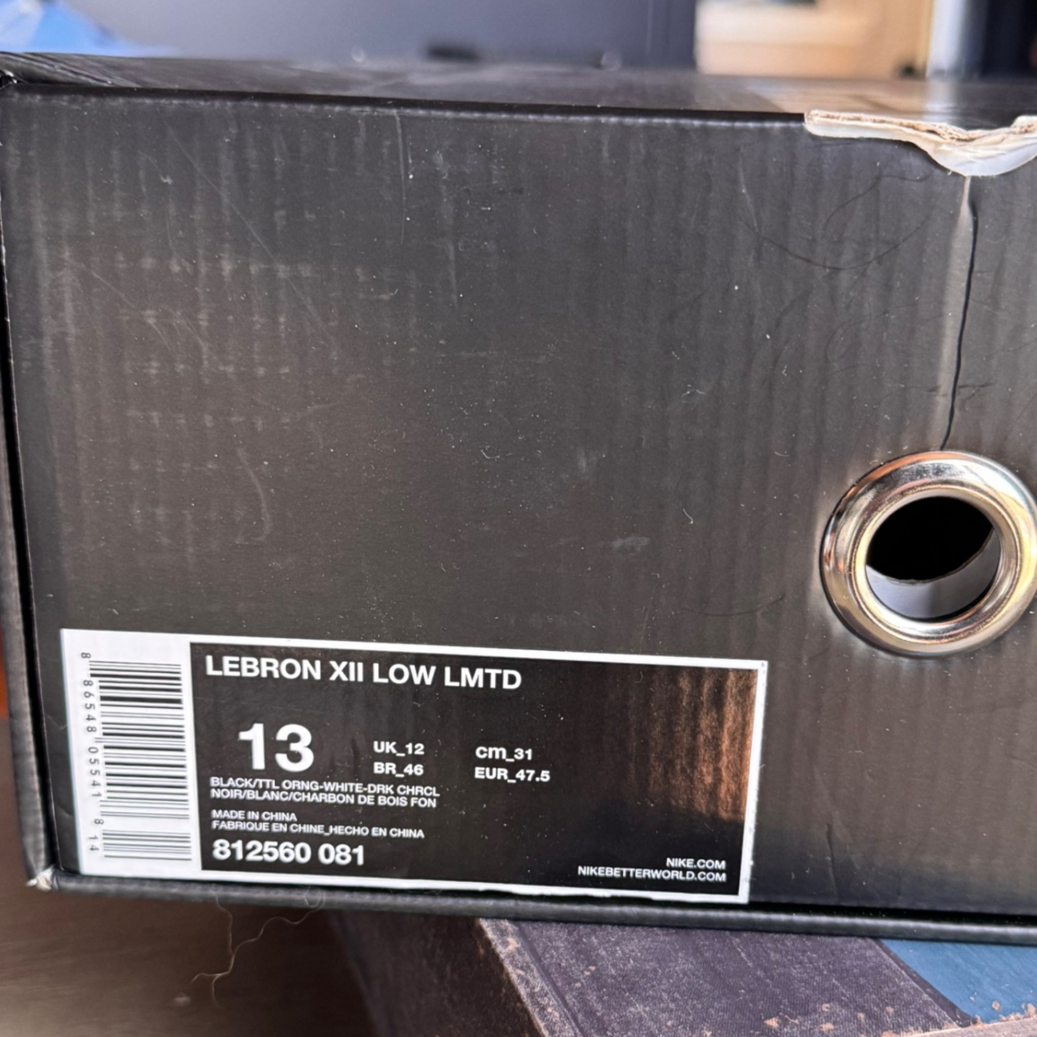 Nike LeBron 12 Low Air Max 95 2015 (USED)