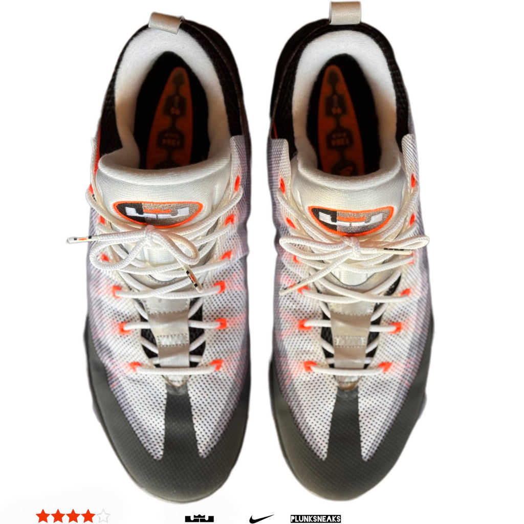 Nike LeBron 12 Low Air Max 95 2015 (USED)
