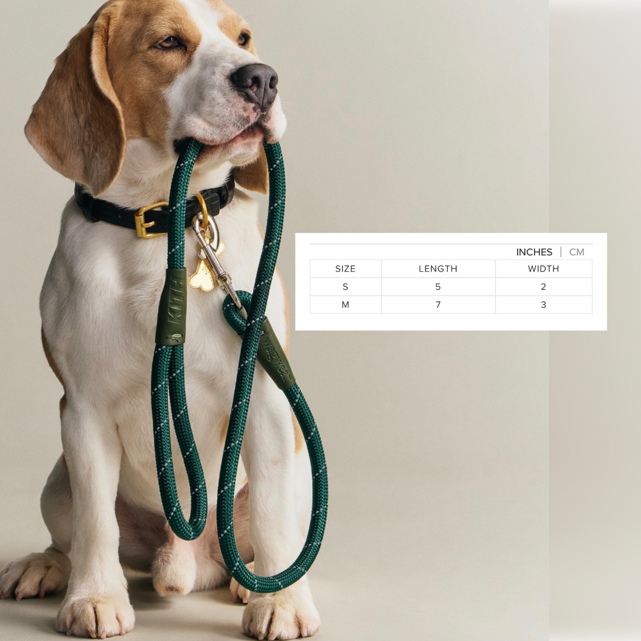 Kith for wagwear Rope Dog Leash