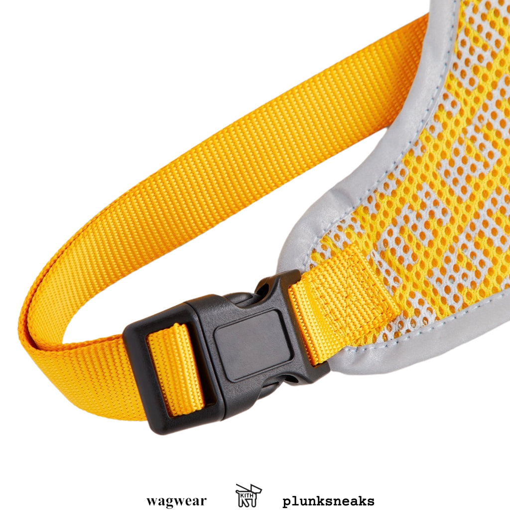 Kith for wagwear Padded Dog Harness