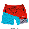 Aime Leon Dore Colorblocked Hiking Short 2019 (USED)