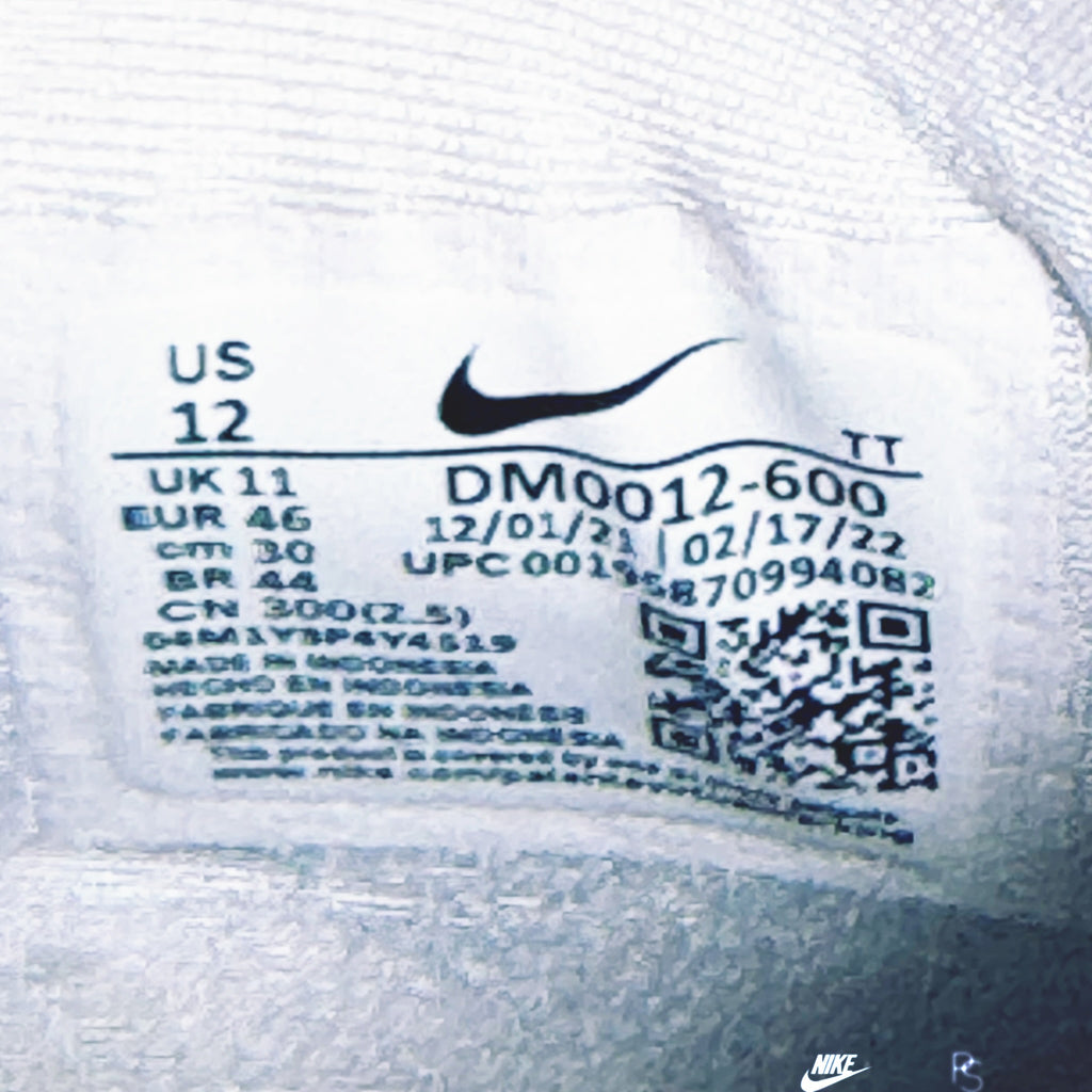 Nike Air Max 95 Anatomy Of Air 2022 (USED)