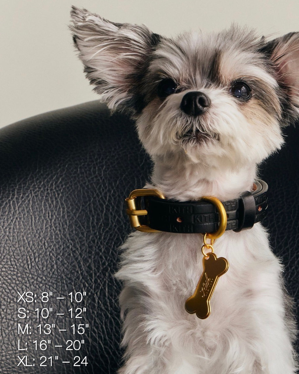 Kith for wagwear Monogram Leather Dog Collar