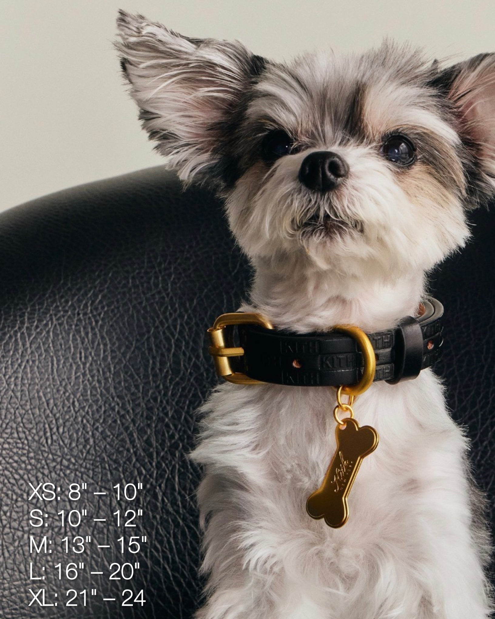 Kith for wagwear Monogram Leather Dog Collar
