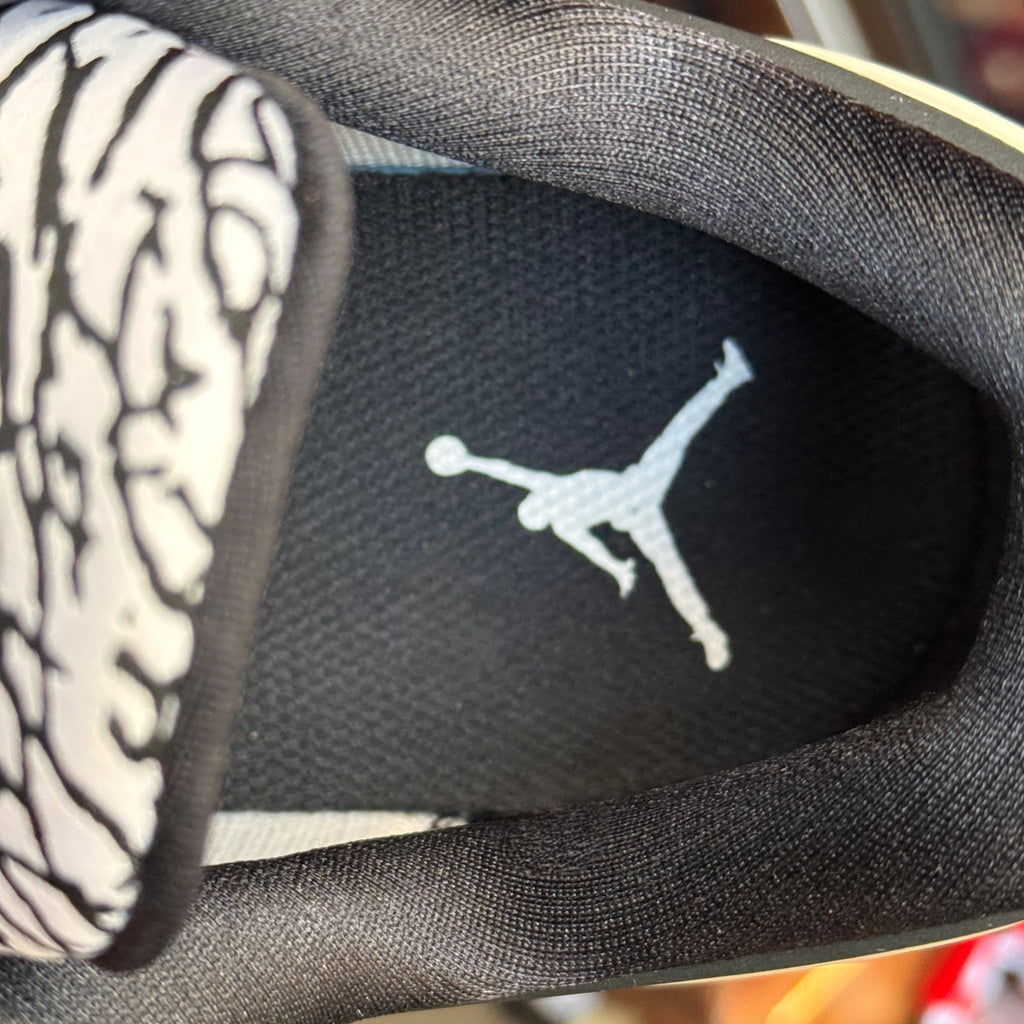 Air Jordan Trainer ST Golf Elephant Print 2018 (USED)