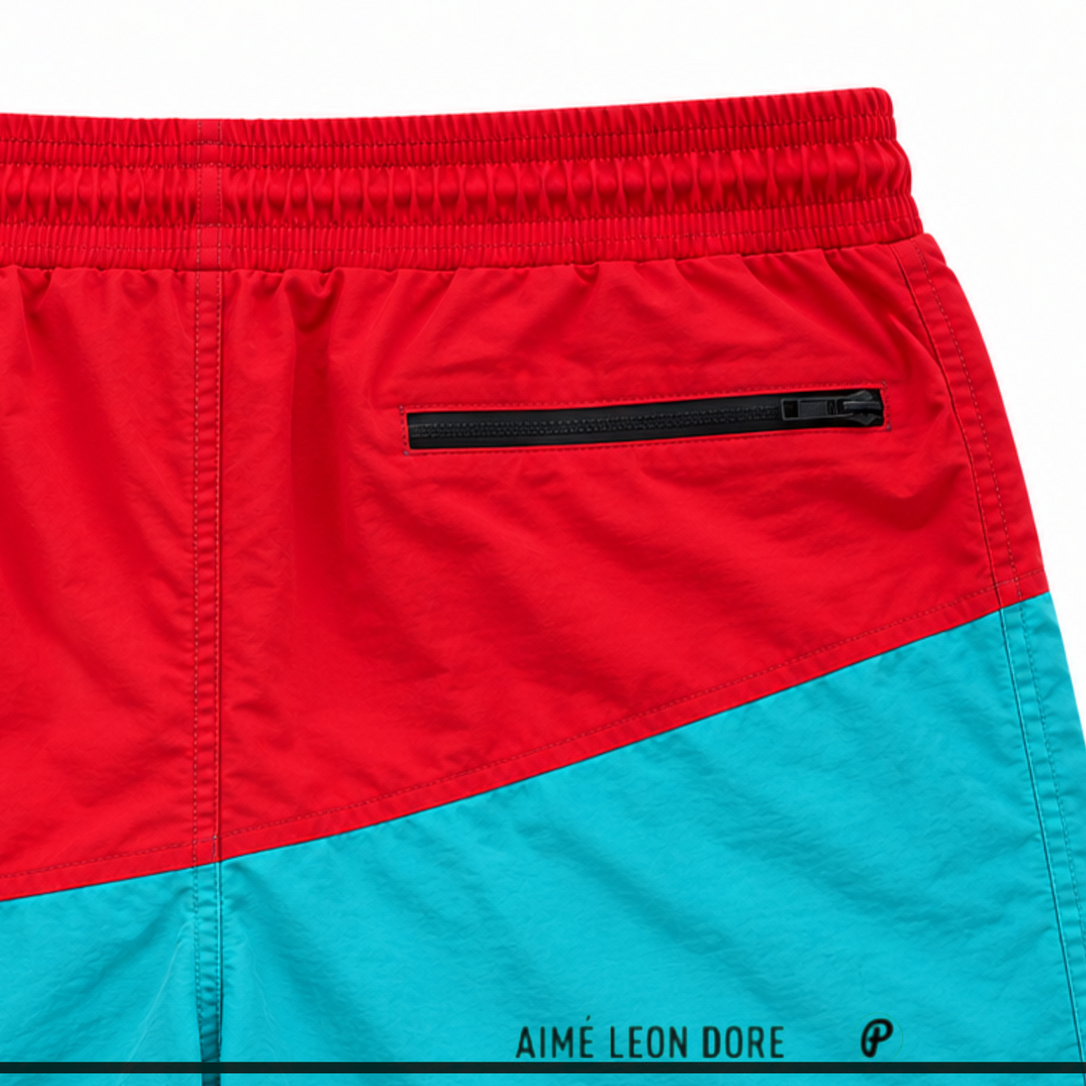 Aime Leon Dore Colorblocked Hiking Short 2019 (USED)