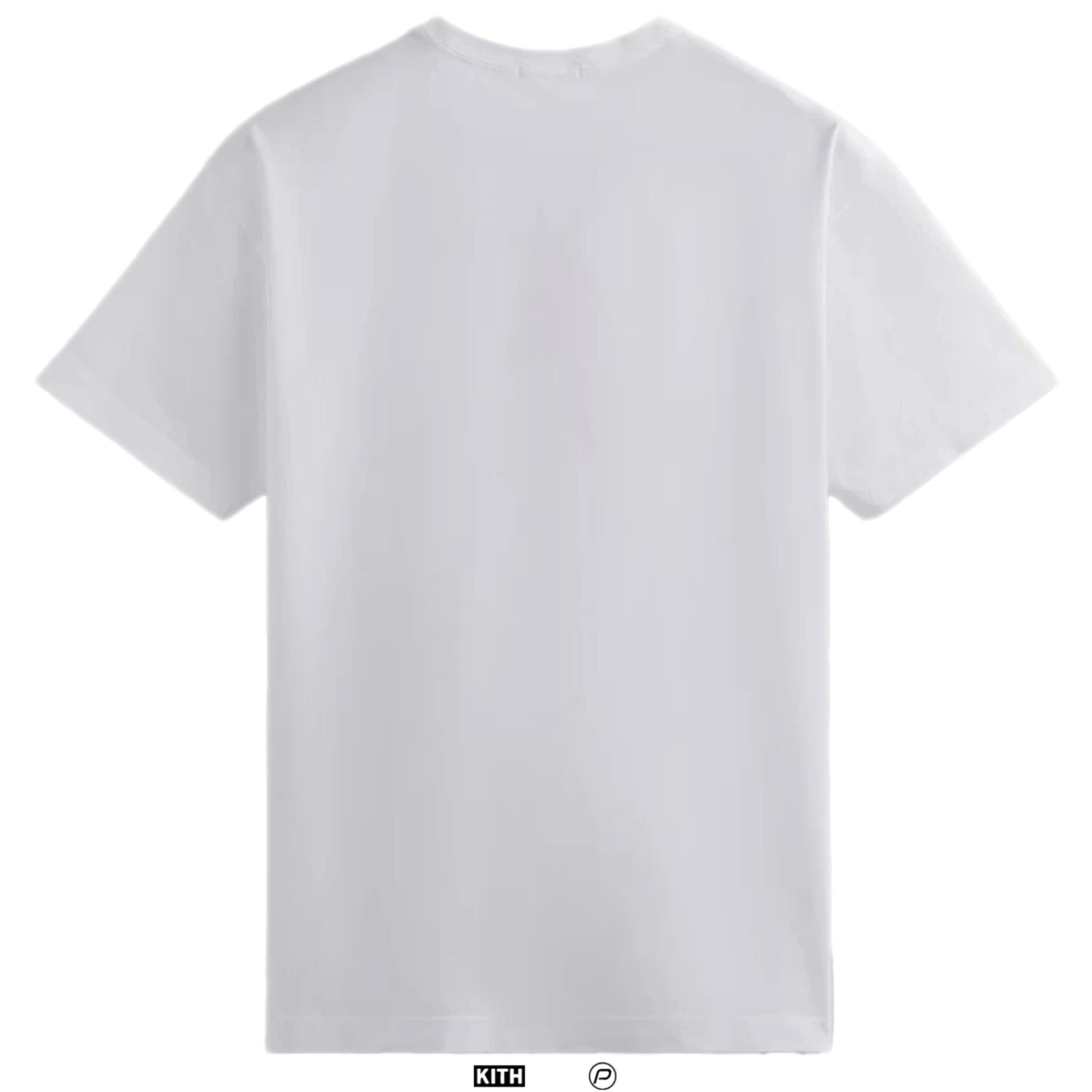 Kith Frank Lloyd Wright Foundation Logo Tee 2023 (USED)