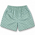 Bravest Studios Gucci-Inspired Mesh Monogram Shorts Mint 2020 (USED)