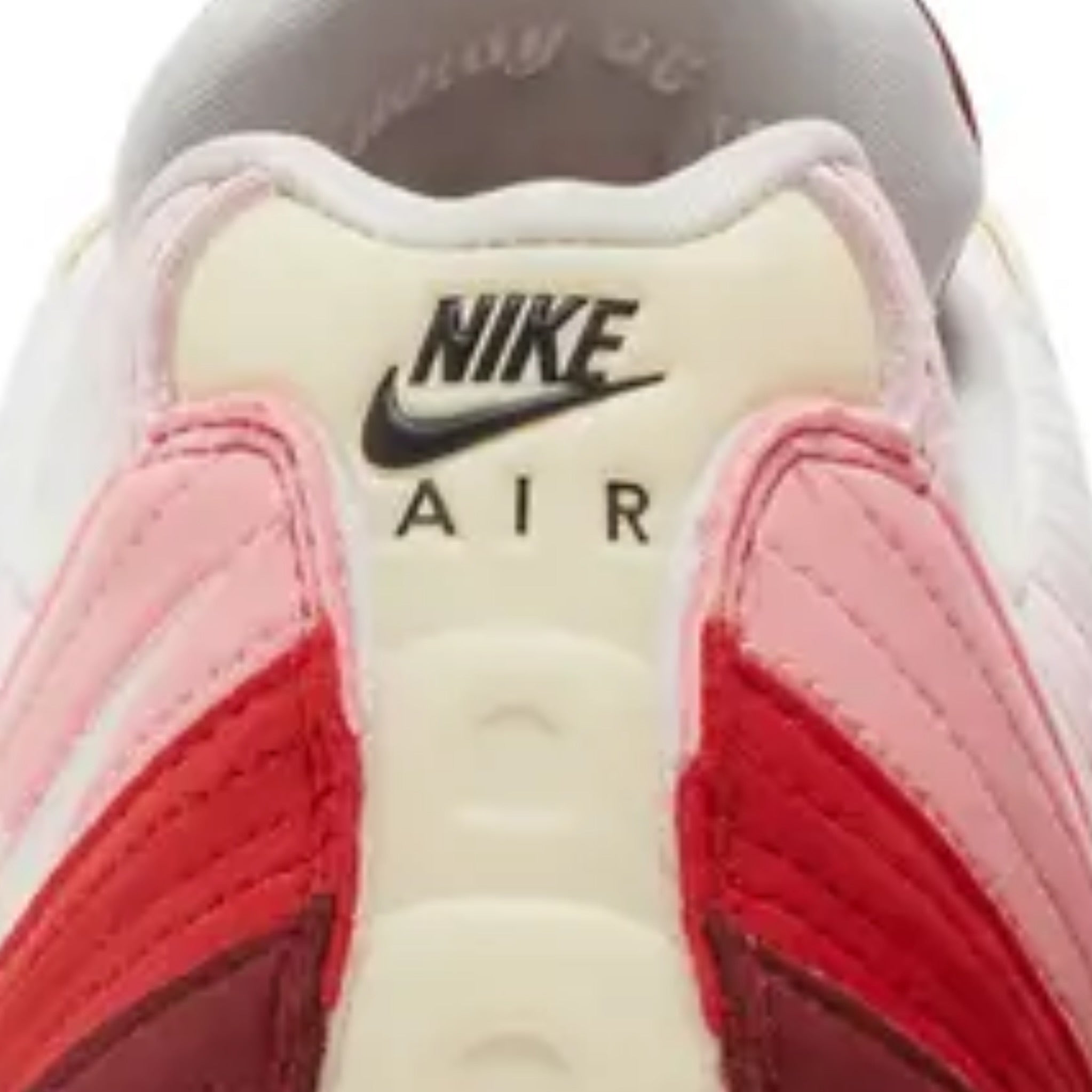 Nike Air Max 95 Anatomy Of Air 2022 (USED)