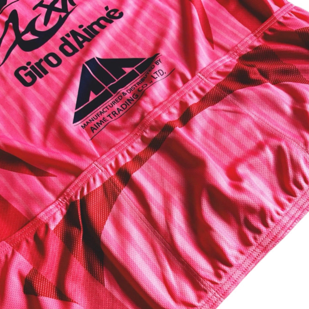Aime Leon Dore Cycling Jersey