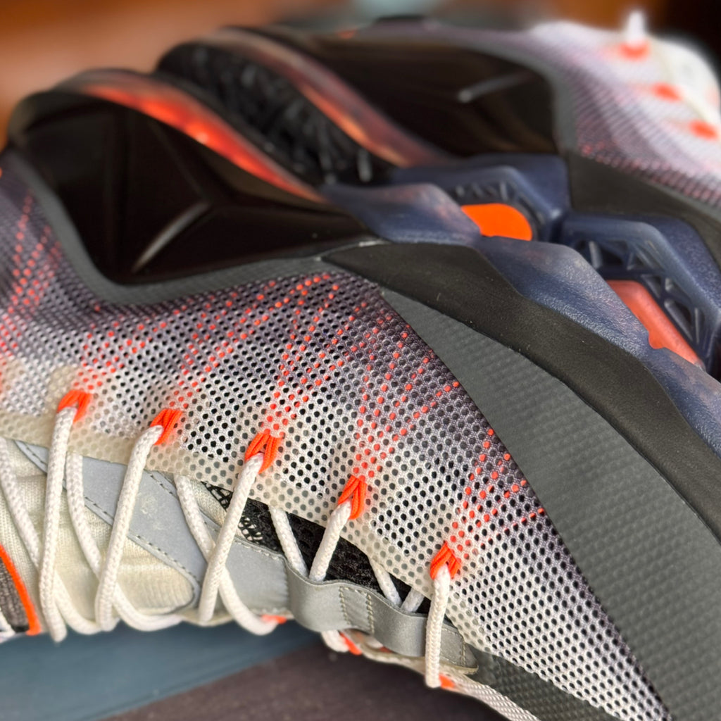Nike LeBron 12 Low Air Max 95 2015 (USED)