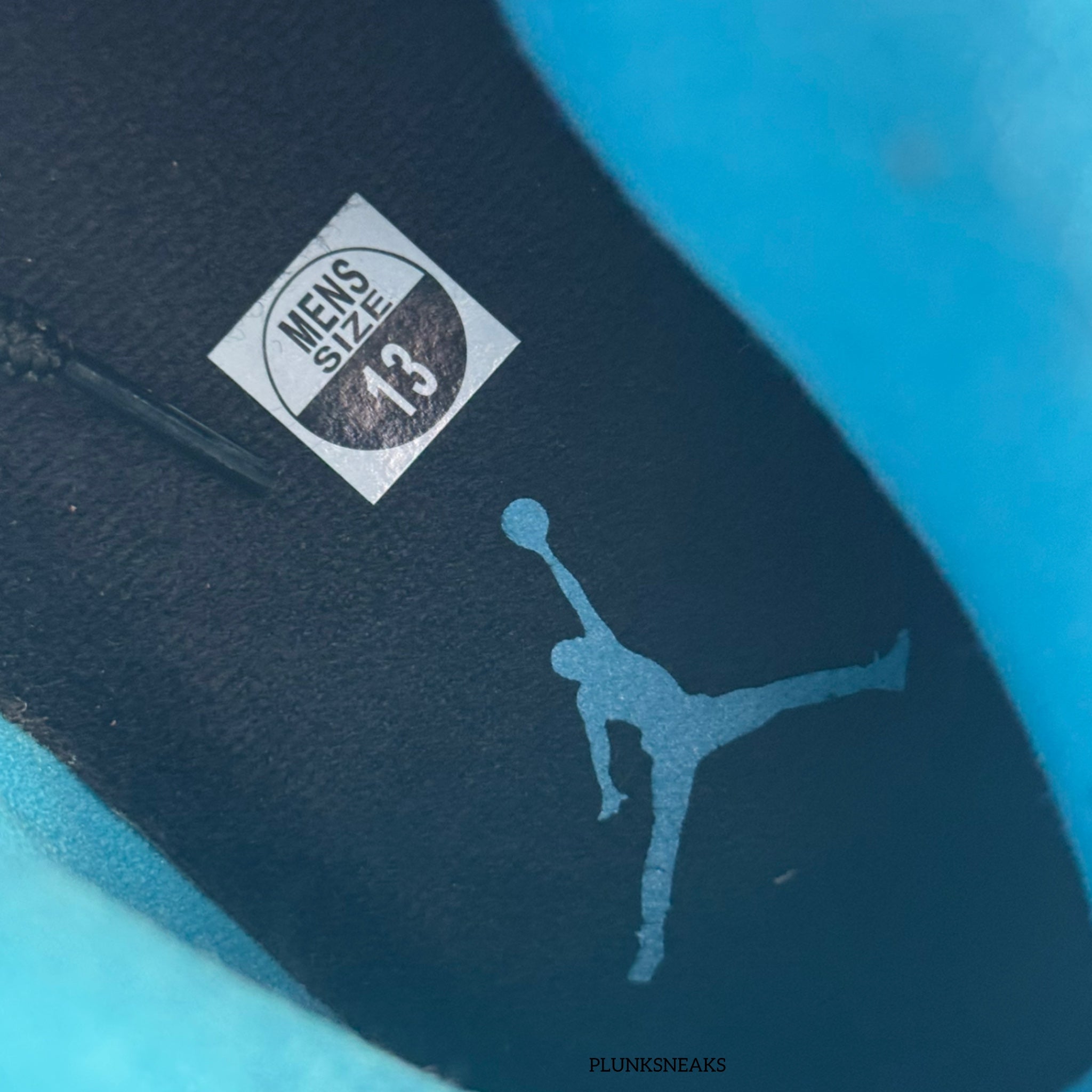 Air Jordan 10 UNC Powder Blue 2014 (USED)