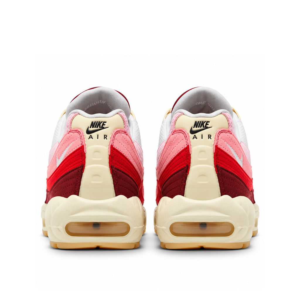 Nike Air Max 95 Anatomy Of Air 2022 (USED)