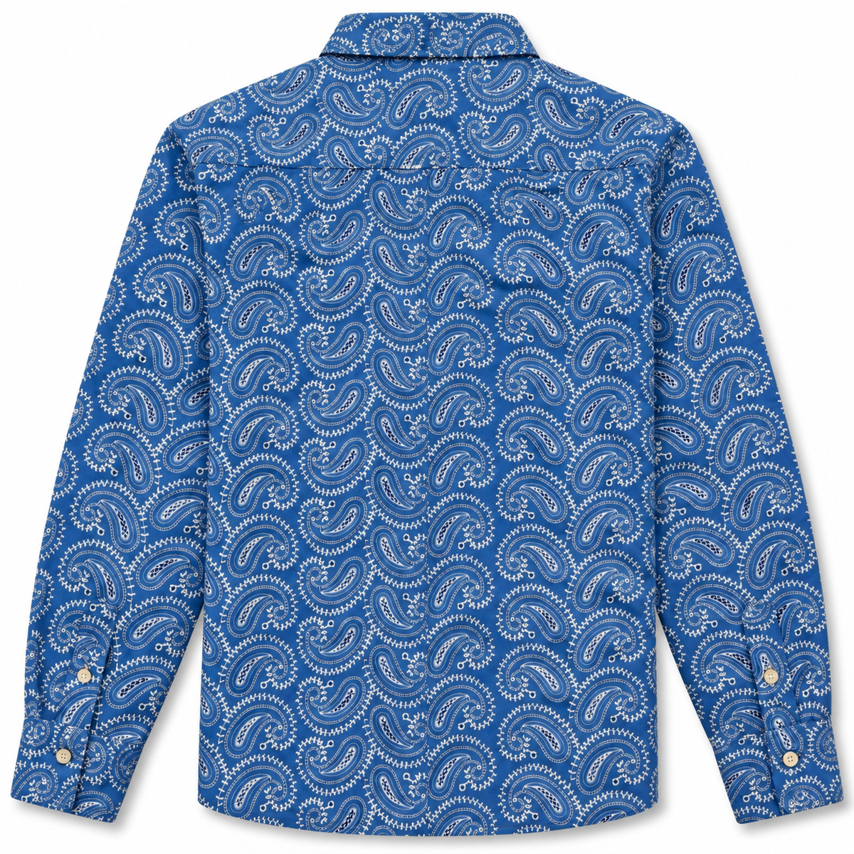 Aimé Leon Dore Paisley Embroidered Button Down Blue 2024