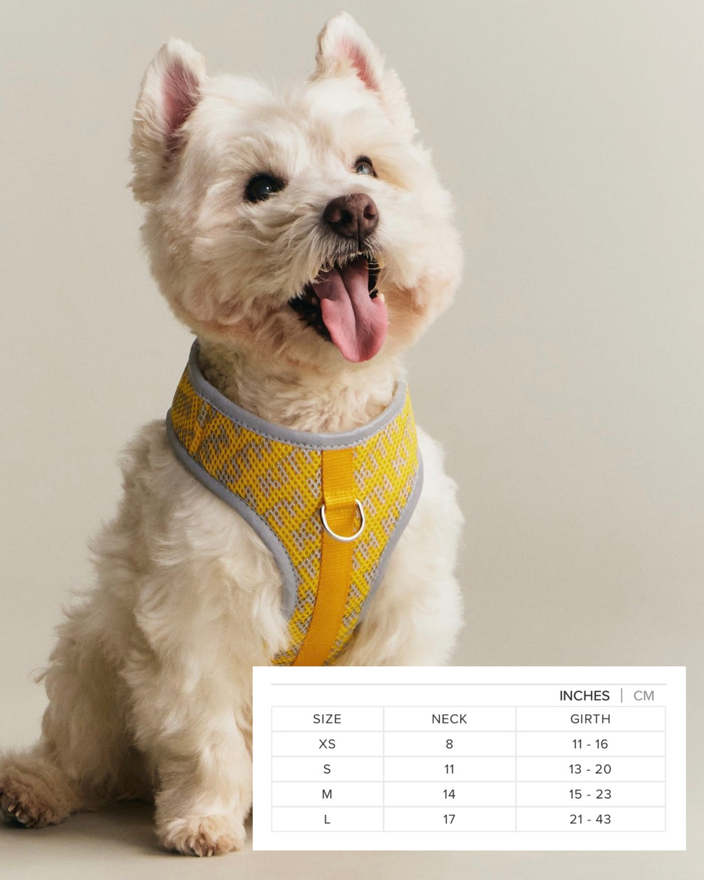 Kith for wagwear Padded Dog Harness