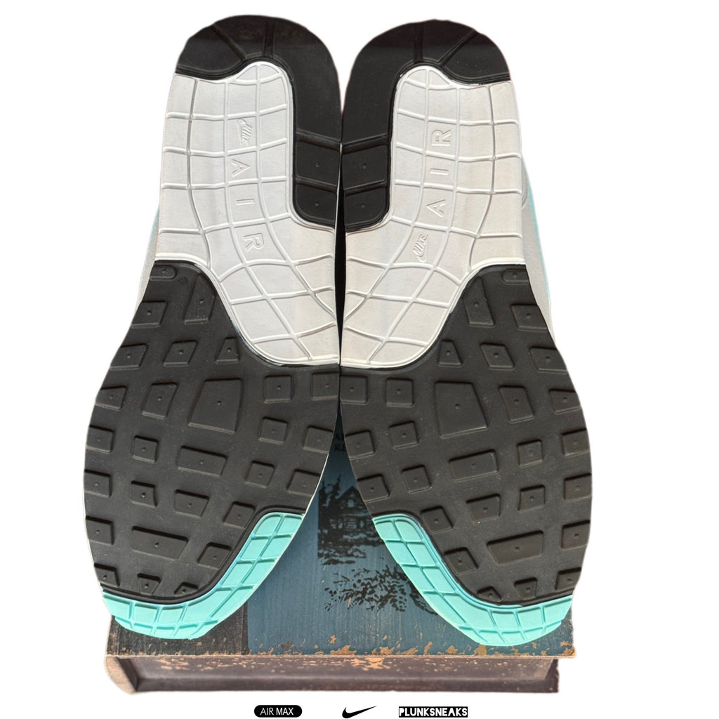 Nike Air Max 1 OG Anniversary Aqua 2018 (USED)