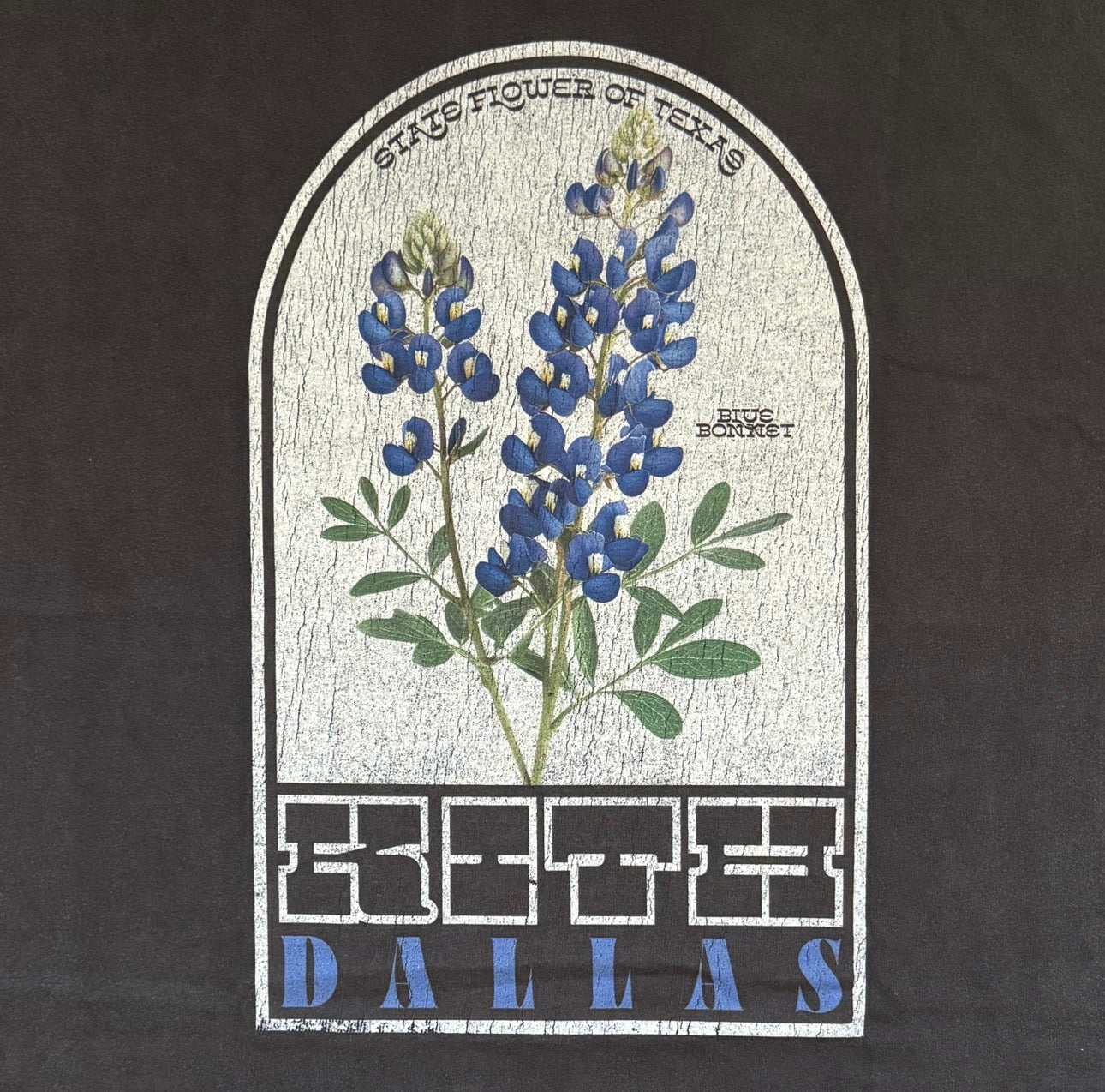 Kith Dallas Bluebonnet Box Logo Vintage Tee | Store Exclusive