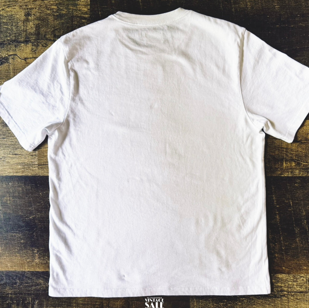 Aime Leon Dore Scenic Tee 2024 (USED)