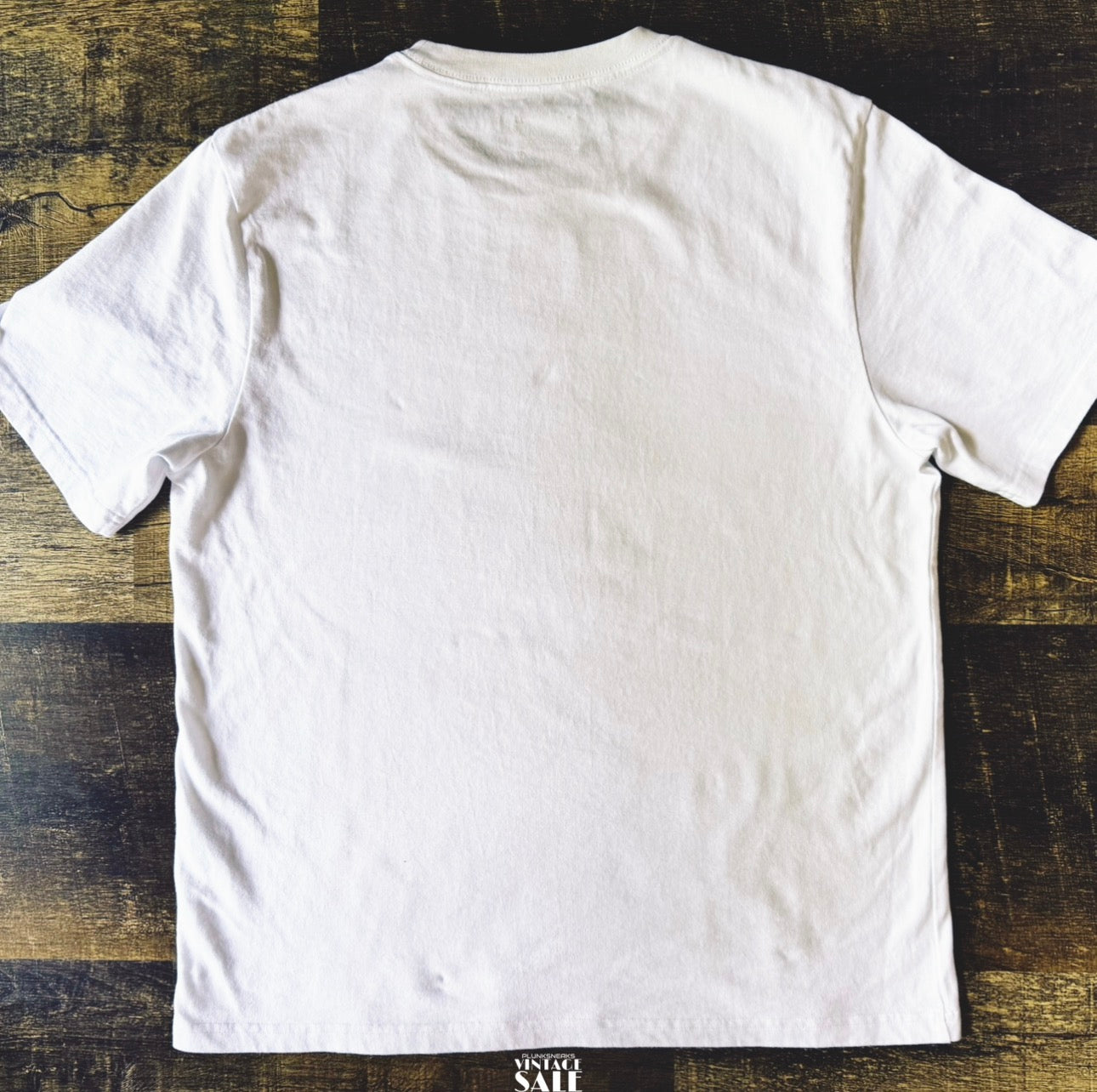 Aime Leon Dore Scenic Tee 2024 (USED)