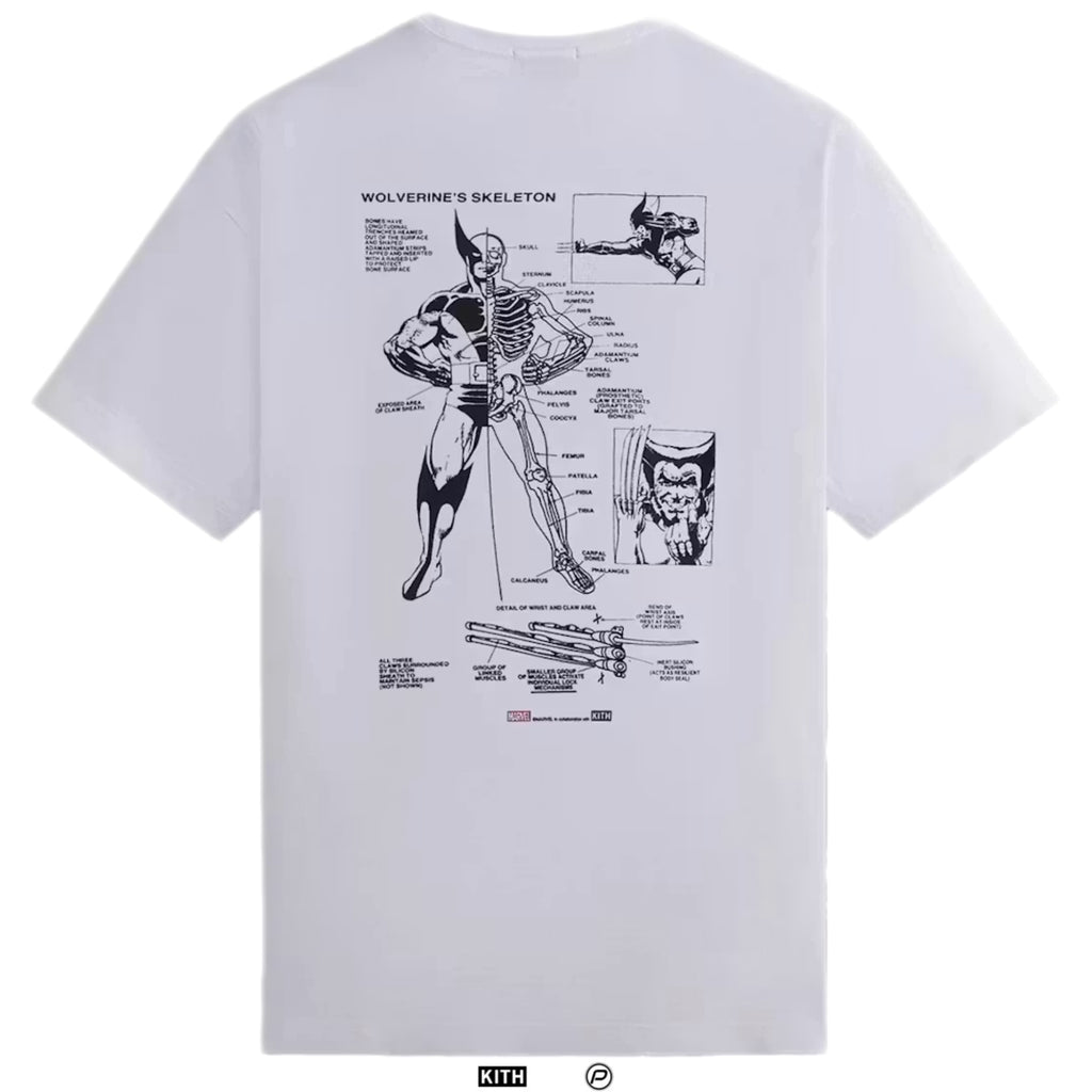 Kith x Marvel X-Men Anatomy Vintage Tee 2023 (USED)