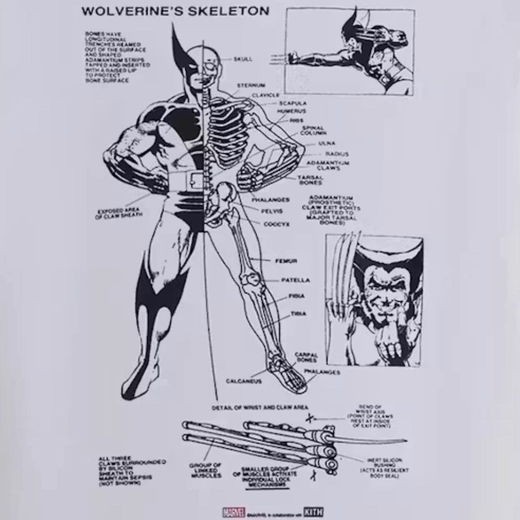 Kith x Marvel X-Men Anatomy Vintage Tee 2023 (USED)