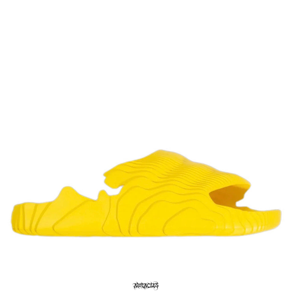 Auracles Chris Brown Nami Slide