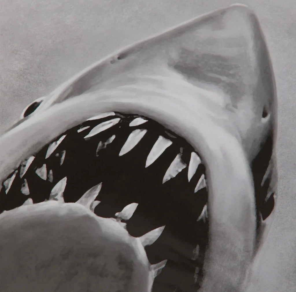 Kith for JAWS 50th Anniversary Japanese Movie Poster Grey Black Red 2025