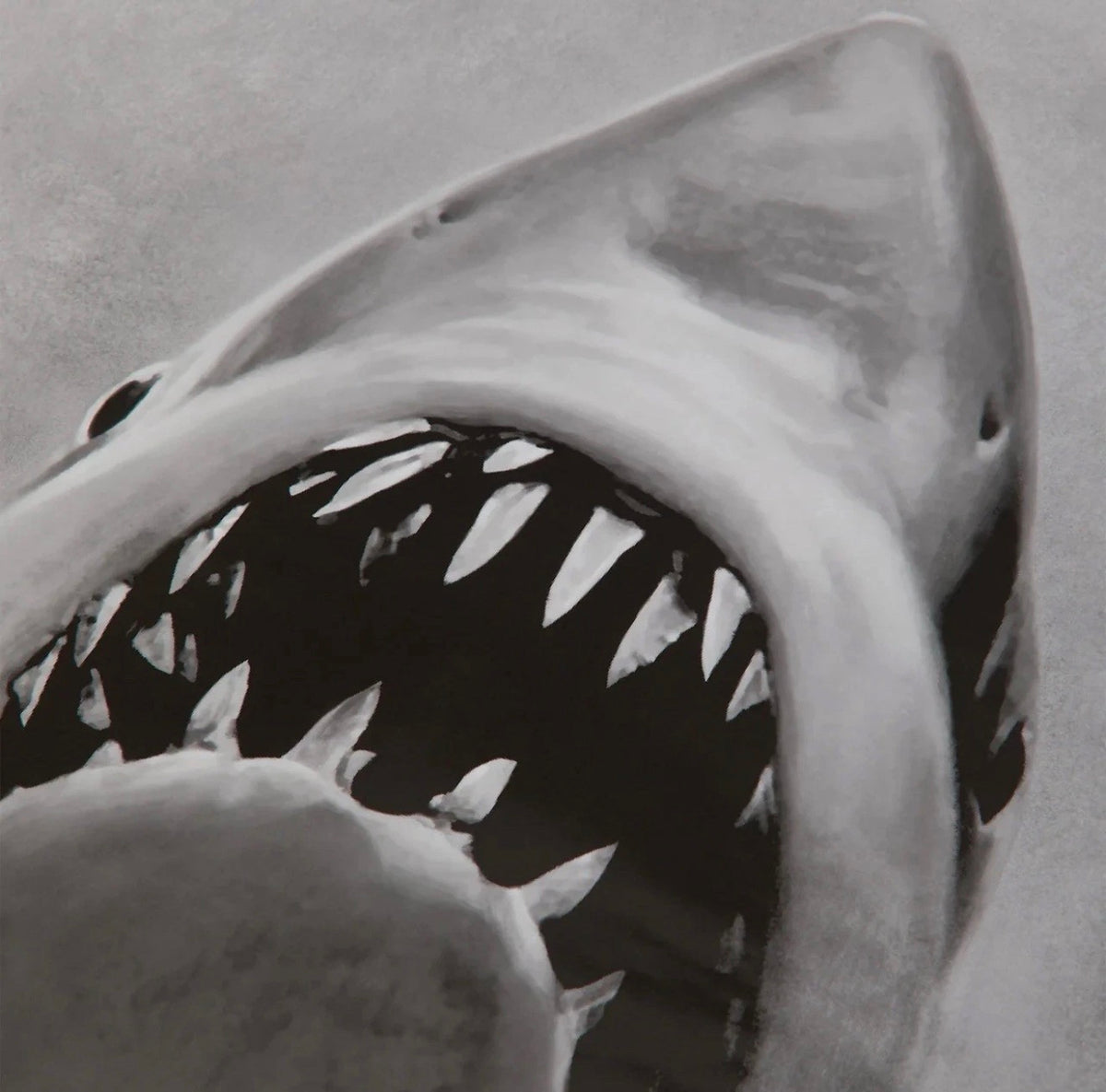 Kith for JAWS 50th Anniversary Japanese Movie Poster Grey Black Red 2025